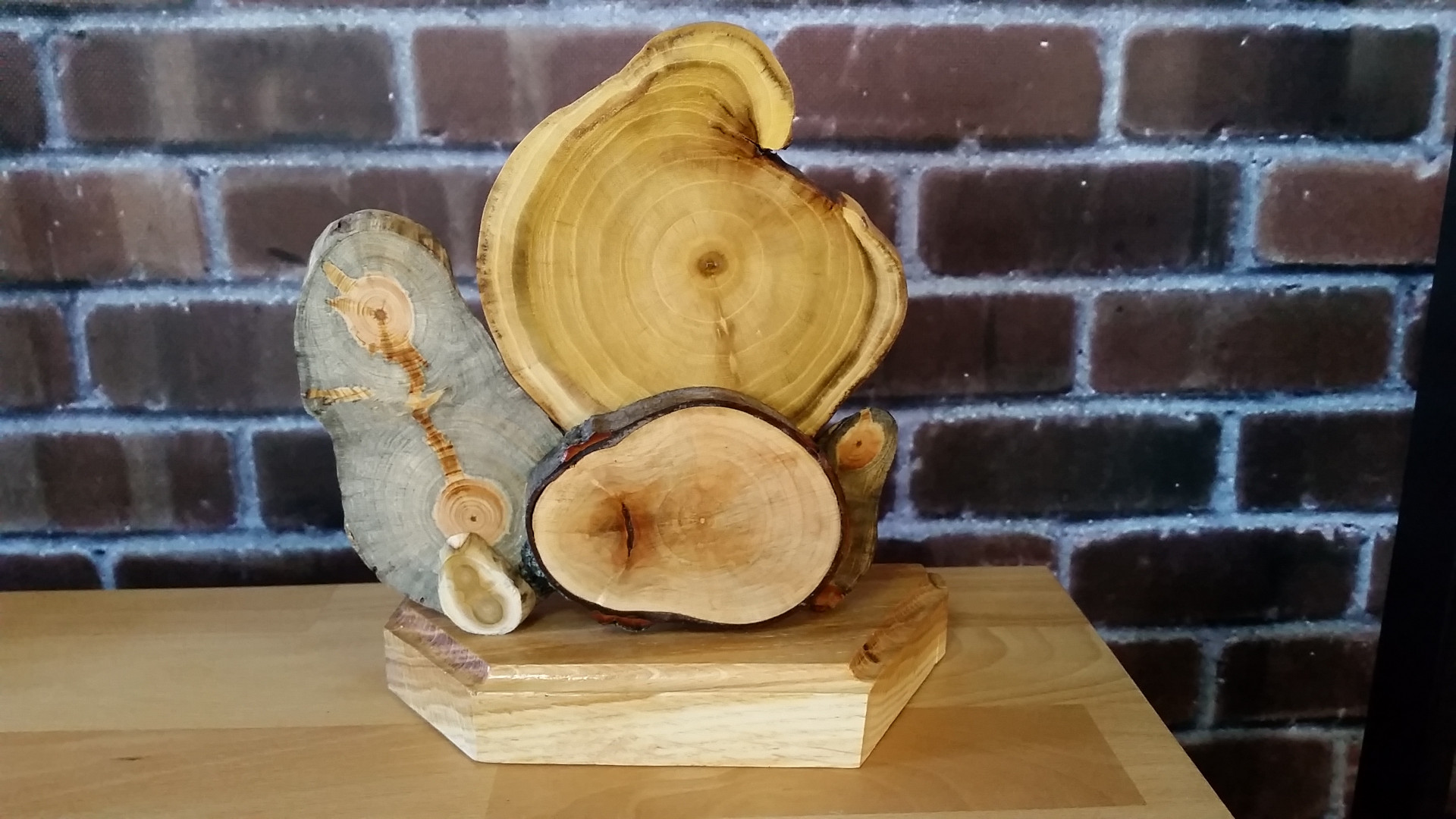 Wood cookies as material for craft
